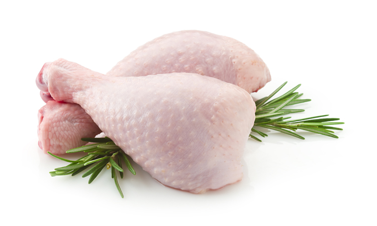Fågel